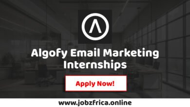 Algofy Email Marketing Internships