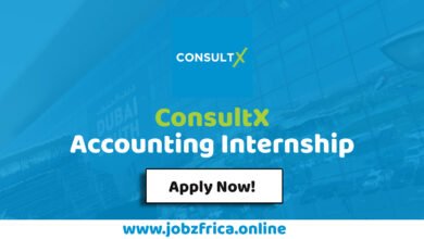 ConsultX Accounting Internship
