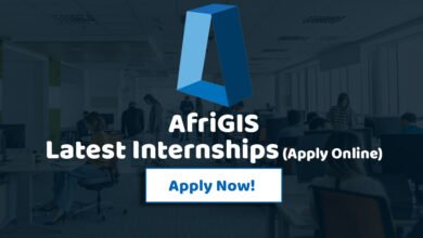 AfriGIS Internships