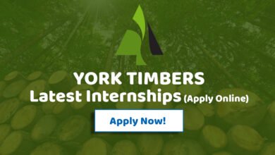 York Timbers Internships