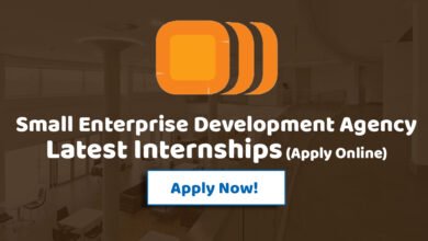 SEDA Internships
