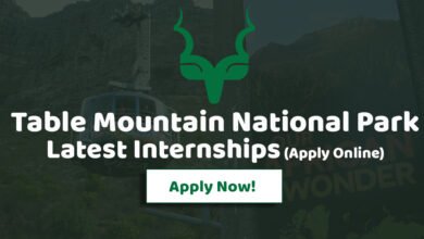 Table Mountain National Park Internships