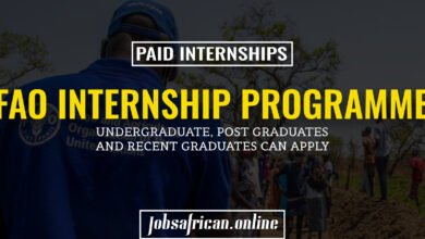 FAO Internship Programme