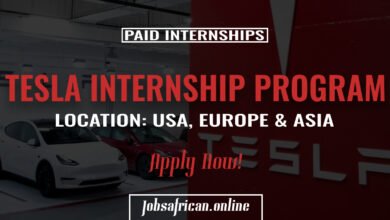 Tesla Internship Program